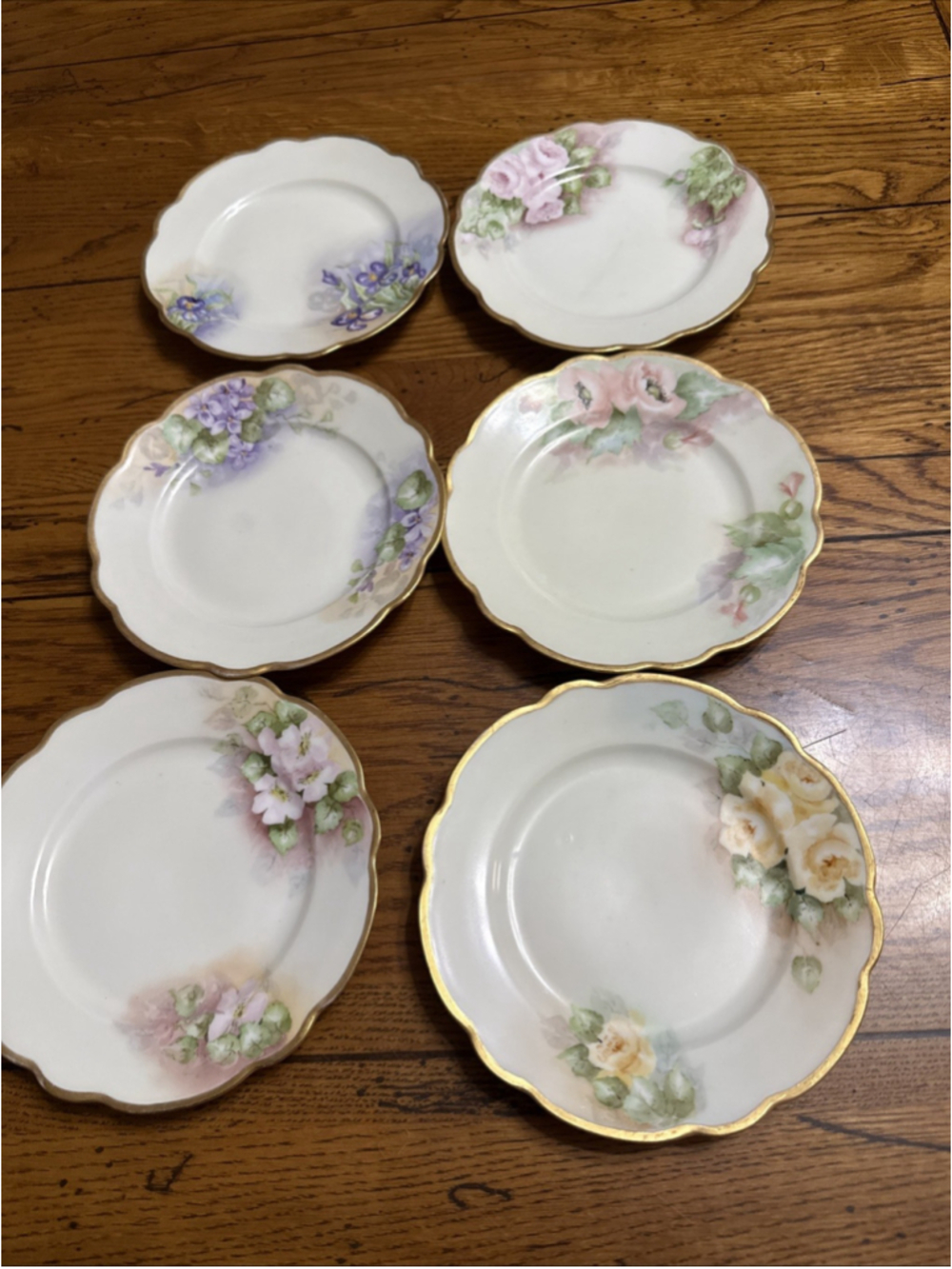 Set of 6 Antique Haviland Limoges Botanical Dessert Plates - Hand Painted